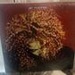 Janet Jackson - The Velvet Rope (2xLP, Album, Ltd, RE, Dee)