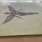 Nirvana – In Utero (LP, Album, Limited Special Edition, Clear Vinyl)