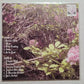 Nicole Dollanganger - Natural Born Losers (LP, Album, Ltd, Num, All)